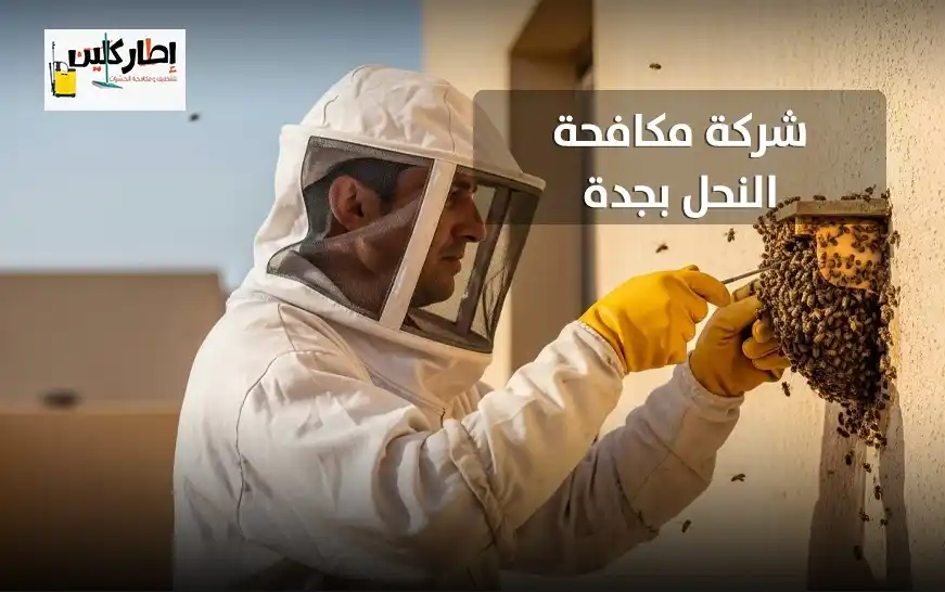 شركة مكافحة النحل بجدة